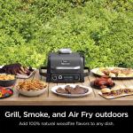 Ninja OG701 Woodfire Electric Grill & Smoker – 7-in-1 Pellet Grill, Air Fryer – Portable, Grey (Renewed)"
